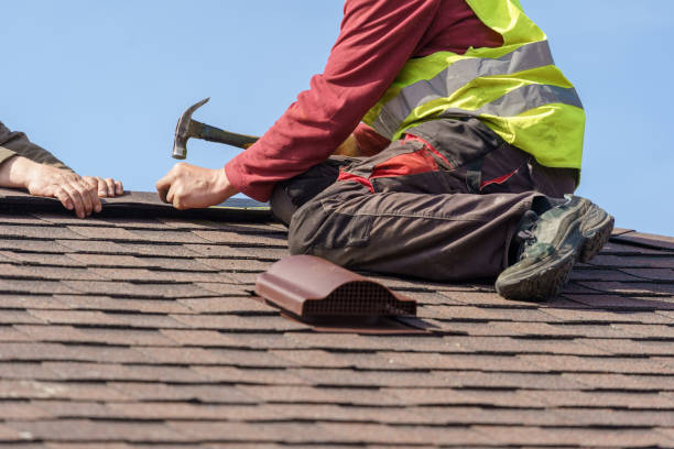 Best Metal Roofing Contractor  in Homewood, IL