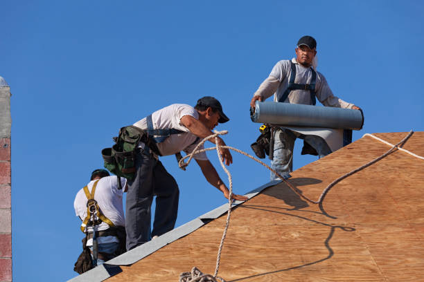 Best Emergency Roof Repair  in Homewood, IL