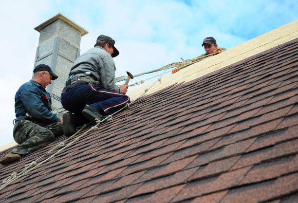 Residential Roof Replacement in Homewood, IL