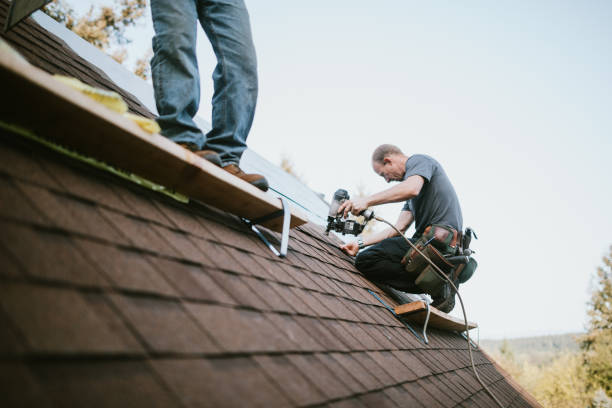 Quick and Trustworthy Emergency Roof Repair Services in Homewood, IL