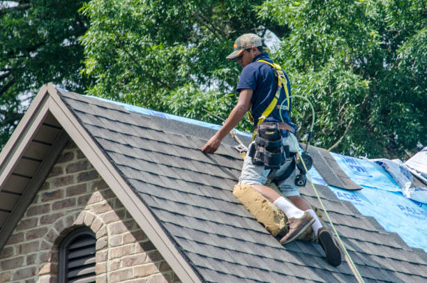 Best Roof Maintenance Services  in Homewood, IL